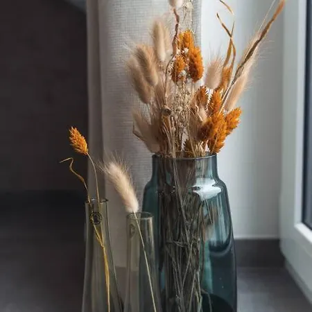 Neue Mit Schlossblick - Urlaub Im Wein- Und Ferienort Bekond