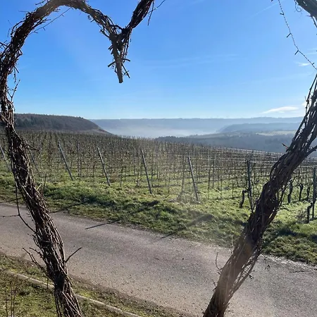 Neue Mit Schlossblick - Urlaub Im Wein- Und Ferienort דירה
